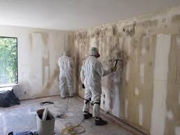 Reliable Monaca, PA Mold Inspection Solutions